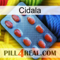 Cidala 06